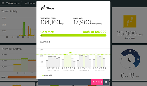 Fitbit_Dashboard steps expanded small
