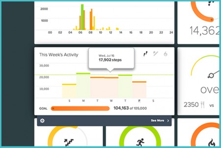 Fitbit_Dashboard this week with hover small border