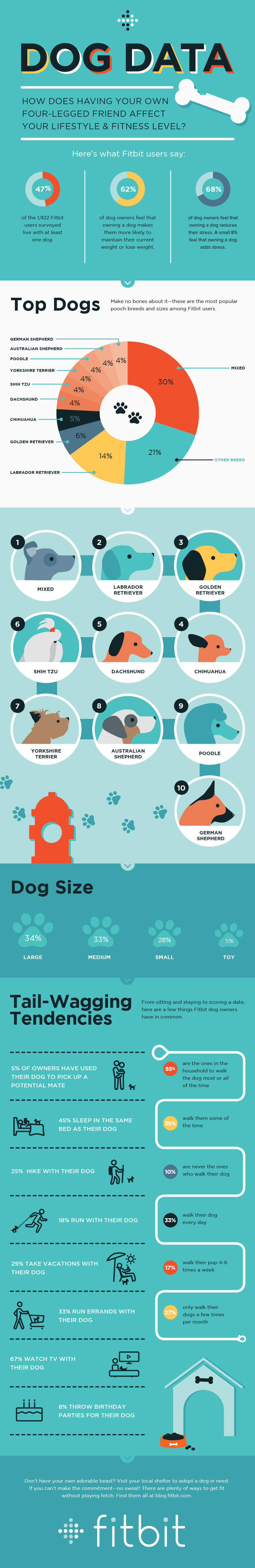 dog infographic_long