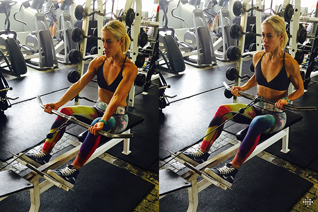 4_Lacey_Stone_Flex_Workout_2_Seated_Reverse_Cable_Row_RB