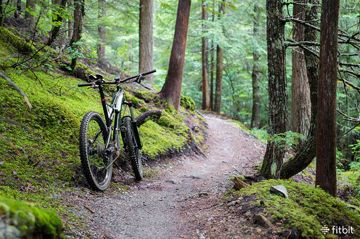 The Top Benefits of Riding Off Road 