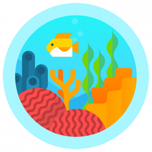 Fitbit Badges: Great Barrier Reef