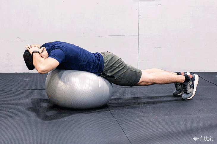 stability ball back extension