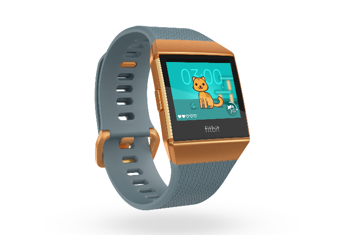 Fitbit OS Update: Fitbit Labs