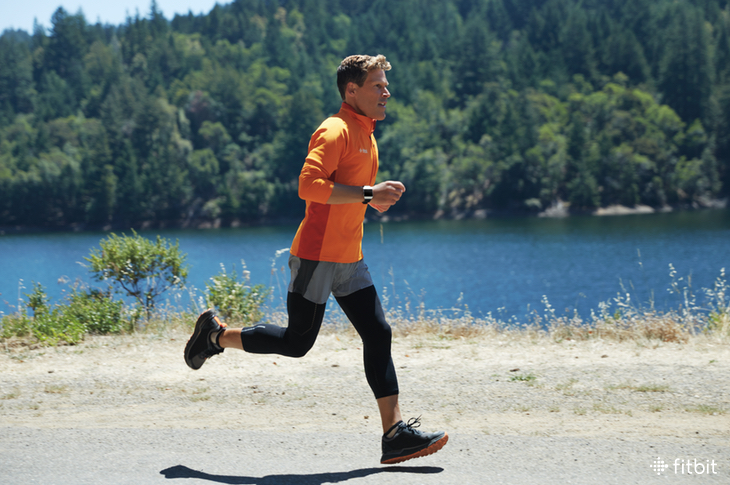 kærtegn Afbrydelse Leopard A Pro Runner Explains How to Build Endurance—in Sport and in Life - Fitbit  Blog
