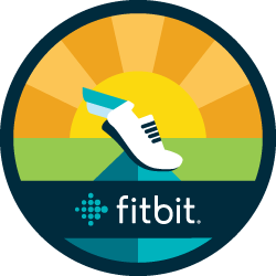 Fitbit Strava Challenge Finisher's Badge