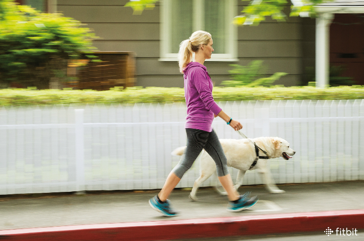 With a few simple moves, daily walks for your dog can turn into total-body workouts for you.