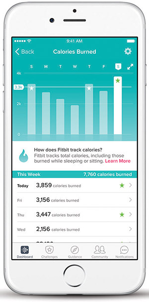 Calories Burned in the Fitbit app